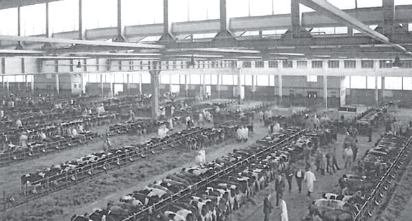 rindermarkthalle_frueher2 Blick in die Alte Rindermarkthalle in früheren Zeiten.